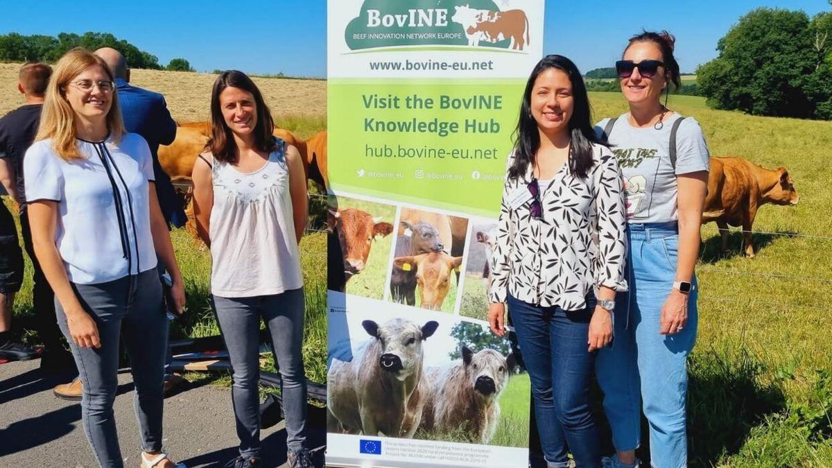 BovINE presentará este sábado en Elizondo el documento de buenas prácticas.