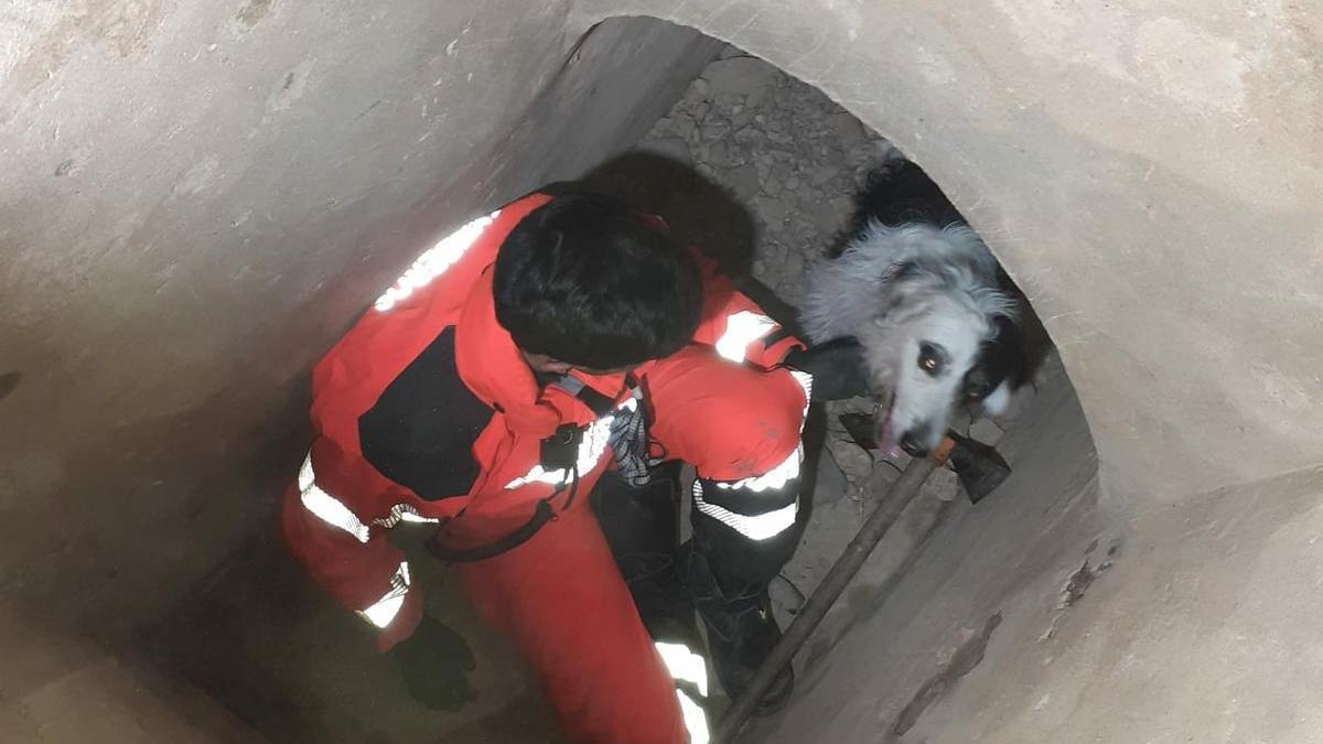 Imagen de Emma al ser rescatada por un bombero