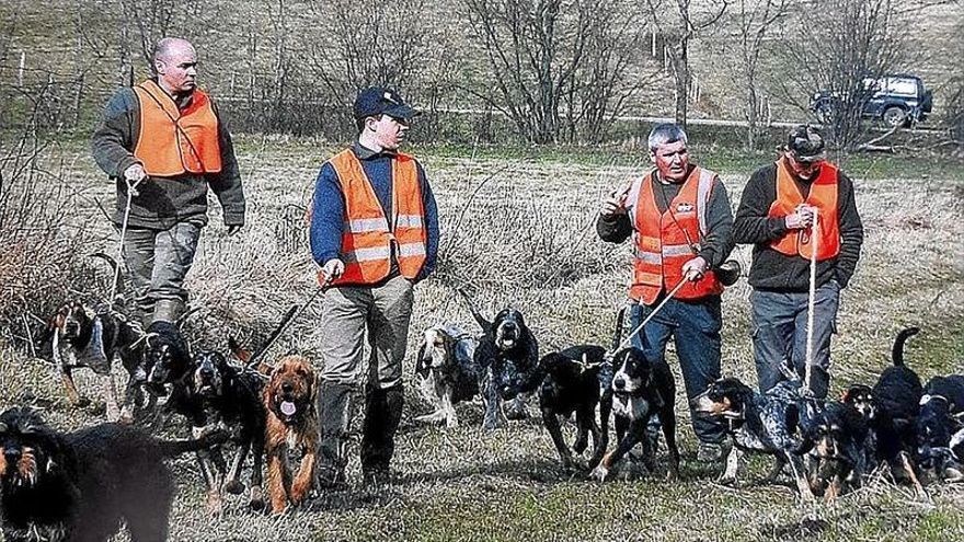 Resacadores dispuestos a soltar su perros de rastro de caza mayor. | FOTO: S. LARDOS