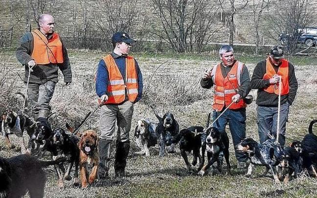 Resacadores dispuestos a soltar su perros de rastro de caza mayor. | FOTO: S. LARDOS Resacadores dispuestos a soltar su perros de rastro de caza mayor. | FOTO: S. LARDOS