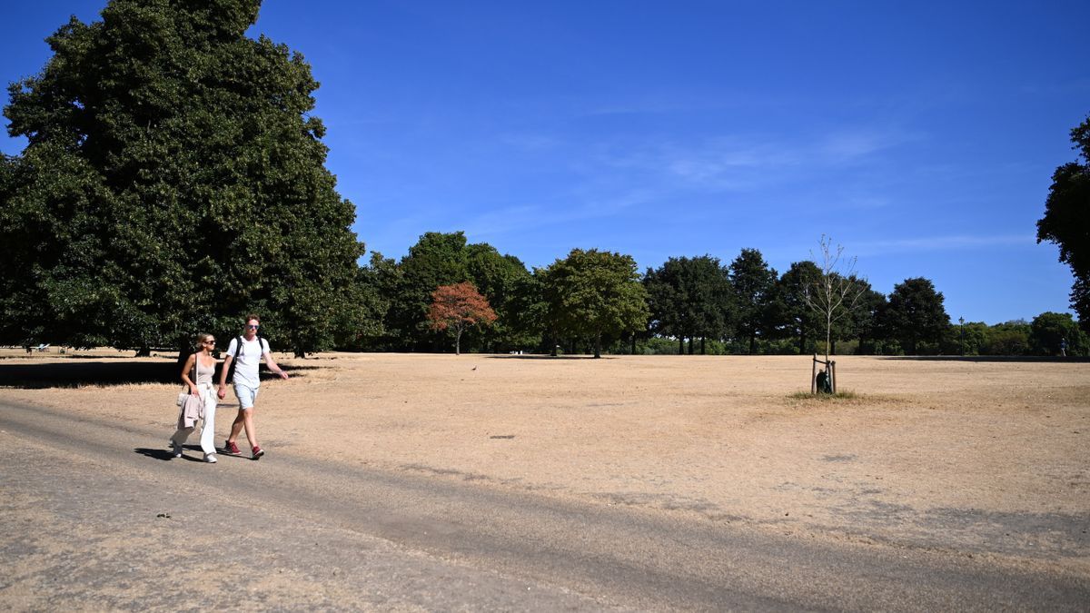 La sequía y el calor acaban con el color verde del icónico Hyde Park de Londres.