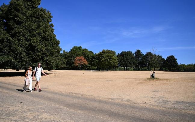 La sequ&iacute;a y el calor acaban con el color verde del ic&oacute;nico Hyde Park de Londres.