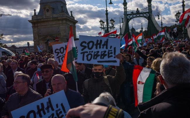Los diputados piden a Bruselas que use las herramientas de las que dispone para hacer frente a estos riesgos. Los diputados piden a Bruselas que use las herramientas de las que dispone para hacer frente a estos riesgos.