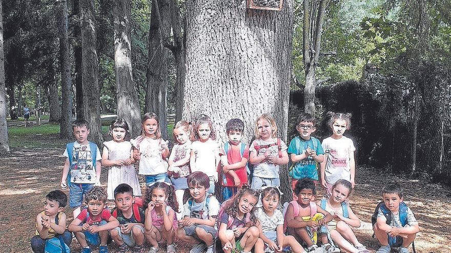 Un ‘hotel de insectos’ en Los Llanos