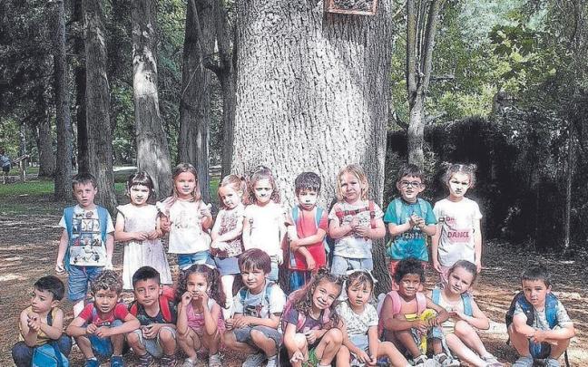 Un ‘hotel de insectos’ en Los Llanos Un ‘hotel de insectos’ en Los Llanos