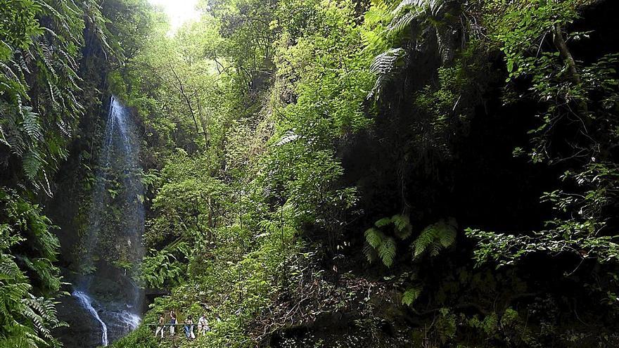 La Cascada de Los Tilos.