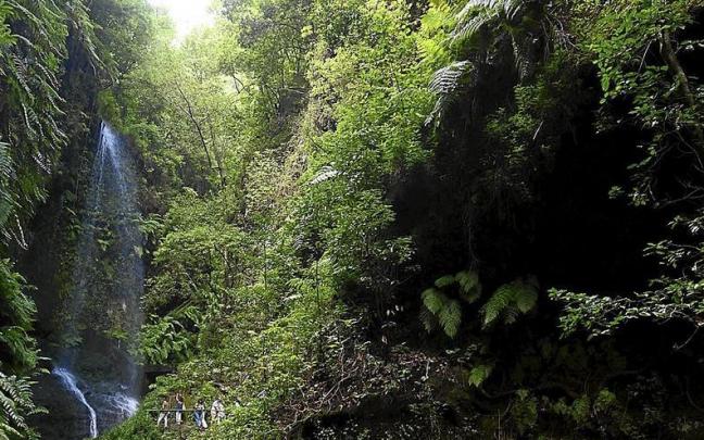 La Cascada de Los Tilos.
