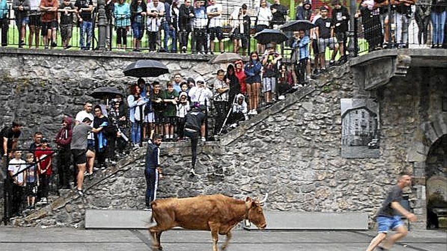 El toro, protagonista ayer en Soraluze. | FOTO: PLAENTXIA.EUS
