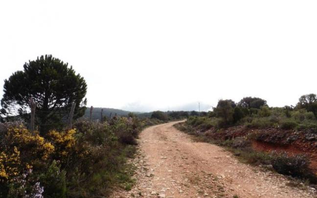 Imagen del camino a Toloño desde Salinillas de Buradón. Imagen del camino a Toloño desde Salinillas de Buradón.