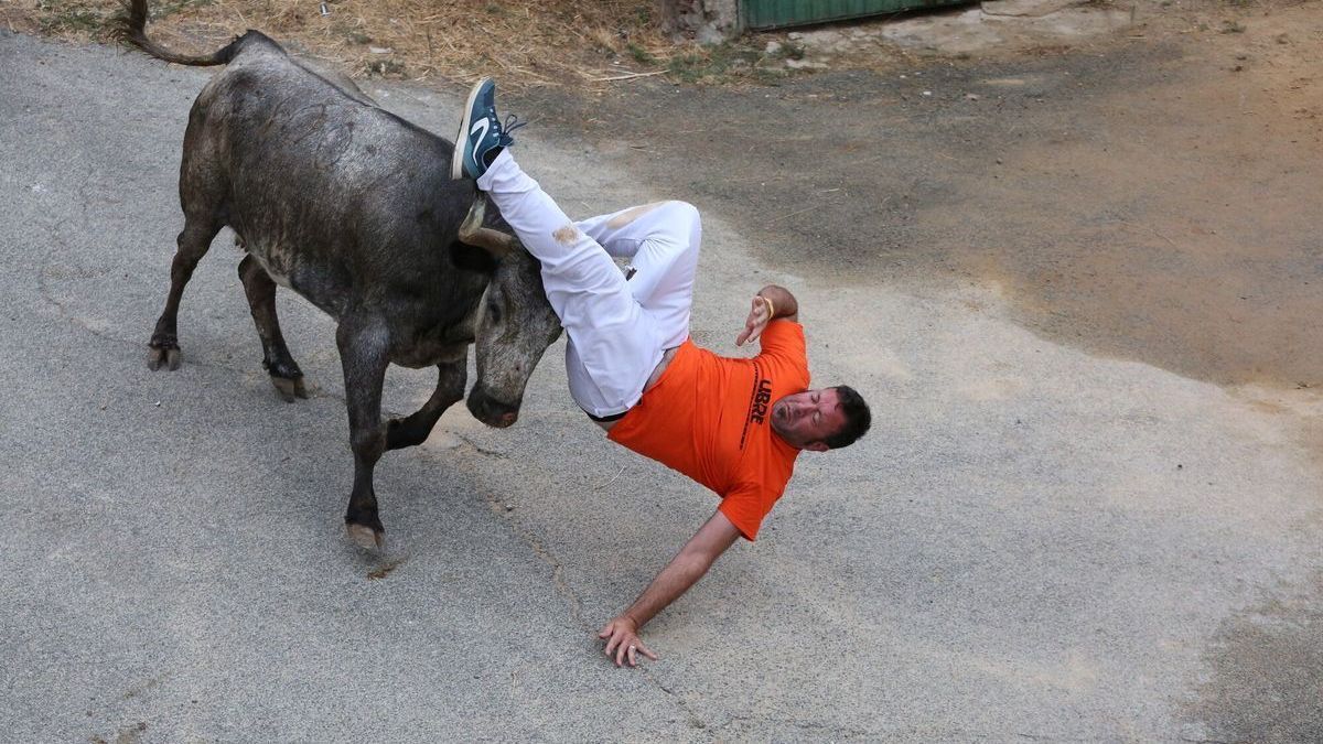 Una de las vacas cornea a un corredor en el encierro del Pilón de hoy martes.