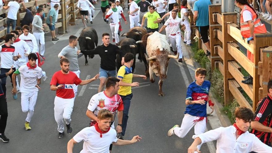 Un momento del encierro con toros de Tornay, este sábado en Tudela.