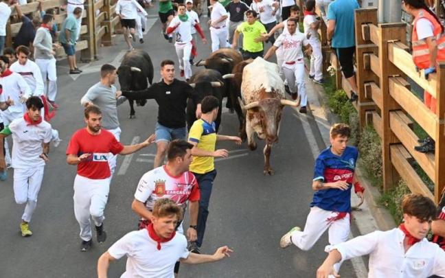 Un momento del encierro con toros de Tornay, este sábado en Tudela.