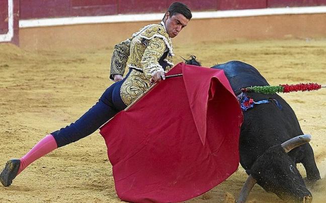 Alejandro Gardel, muy compuesto en toda su puesta en escena, se dobla en el inicio de faena ante el mejor utrero, el 4º, ‘Cartujano’. Alejandro Gardel, muy compuesto en toda su puesta en escena, se dobla en el inicio de faena ante el mejor utrero, el 4º, ‘Cartujano’.