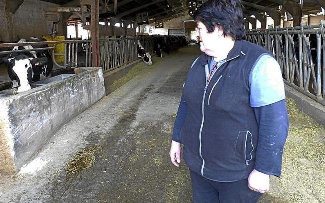 Juana Fisure observa cómo bebe una de sus 250 reses.