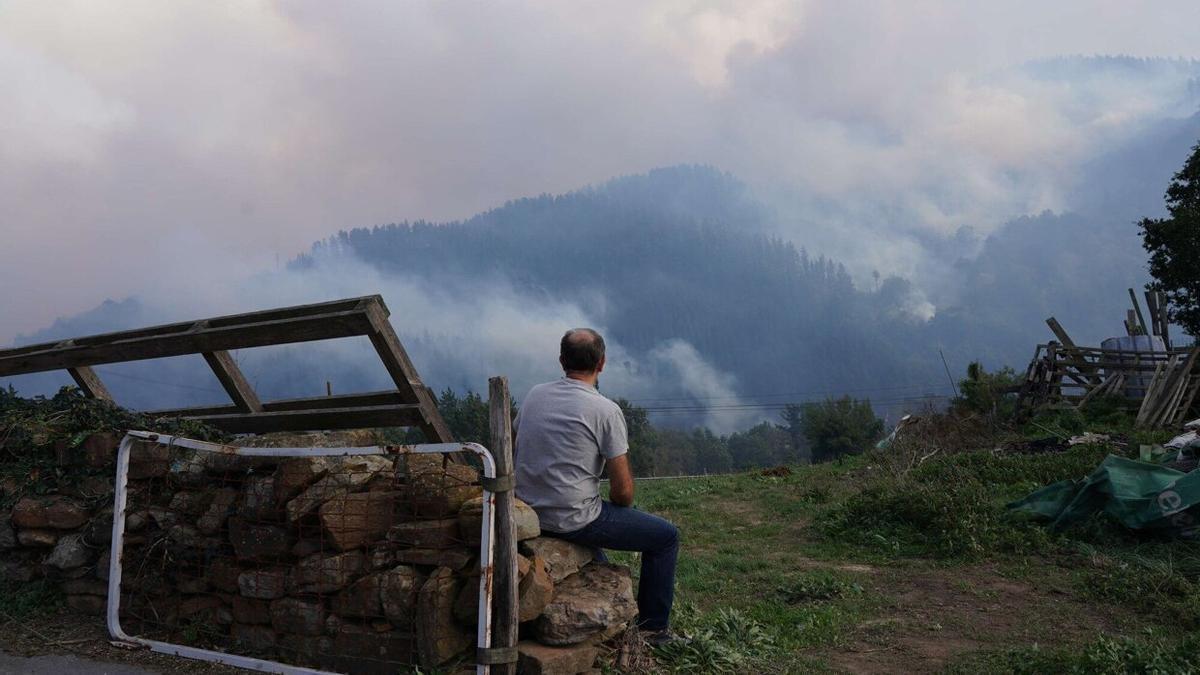 Los incendios arrasaron 400 hectáreas en Balmaseda y Zalla en octubre