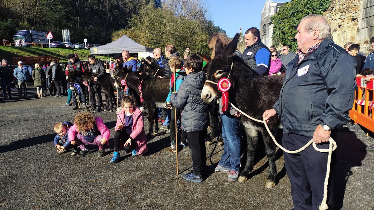 La feria de Gordexola constata la recuperación de los burros encartados