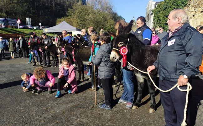 La feria de Gordexola constata la recuperación de los burros encartados