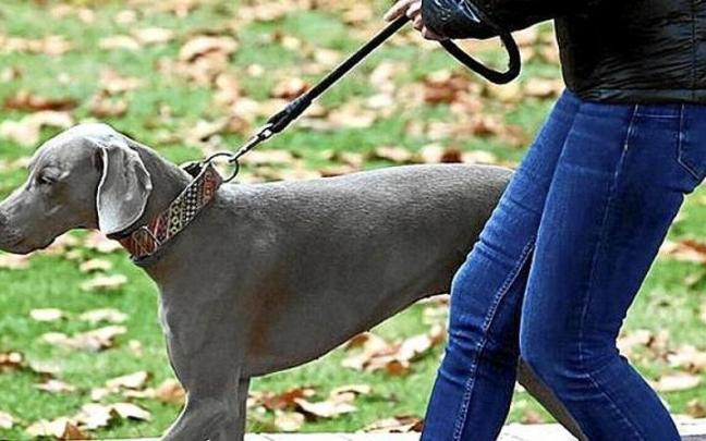Perder una mascota puede ser un trauma para la familia. Perder una mascota puede ser un trauma para la familia.
