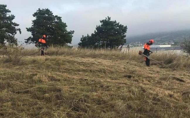Bosque de absorción del polígono de Agustinos.