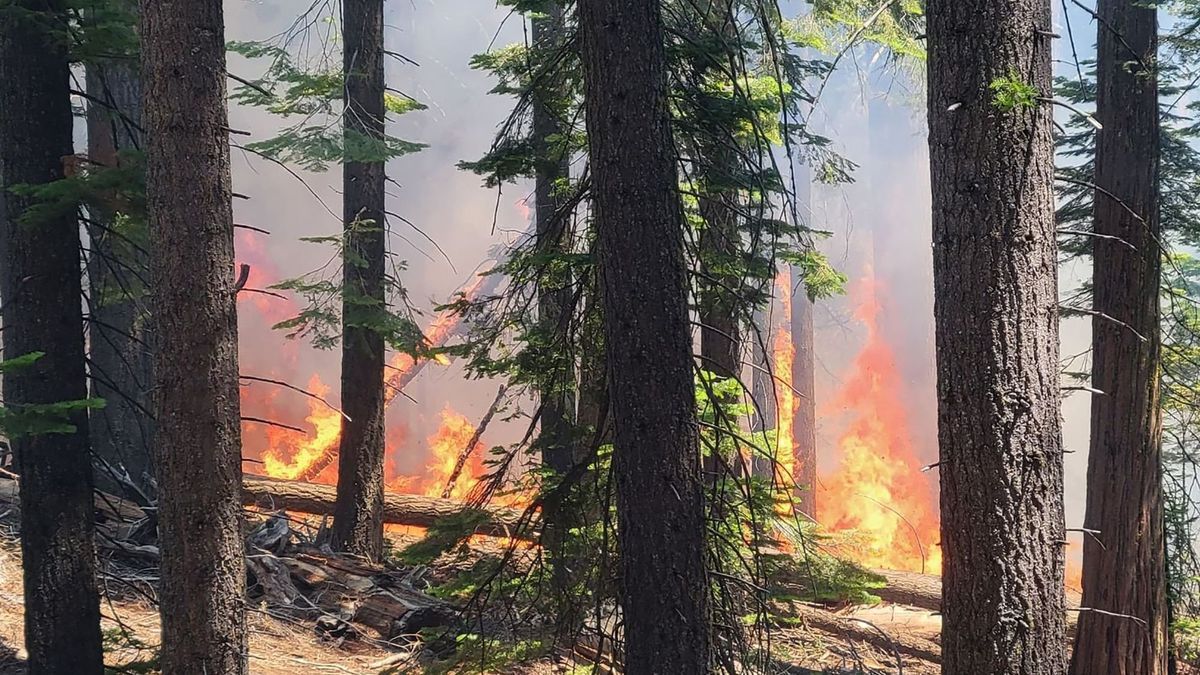 Incendio en el parque de Yosemite.