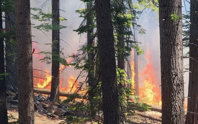 Incendio en el parque de Yosemite.