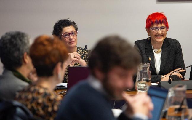 La consejera, en una comisión parlamentaria de Salud reciente. La consejera, en una comisión parlamentaria de Salud reciente.