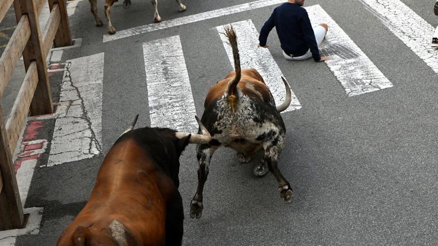 Imagen del encierro de este miércoles en Tafalla