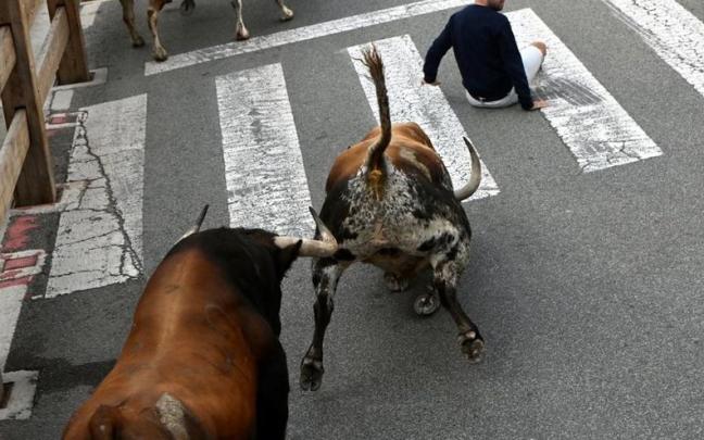 Imagen del encierro de este miércoles en Tafalla Imagen del encierro de este miércoles en Tafalla