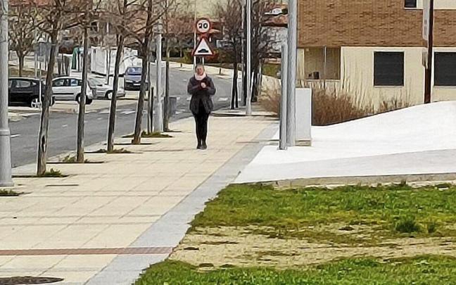 En primer t&eacute;rmino, uno de los espacios rechazados por Educaci&oacute;n para la ubicaci&oacute;n del futuro centro escolar situado en Ayegui. Al fondo, el centro concertado Mater Dei.