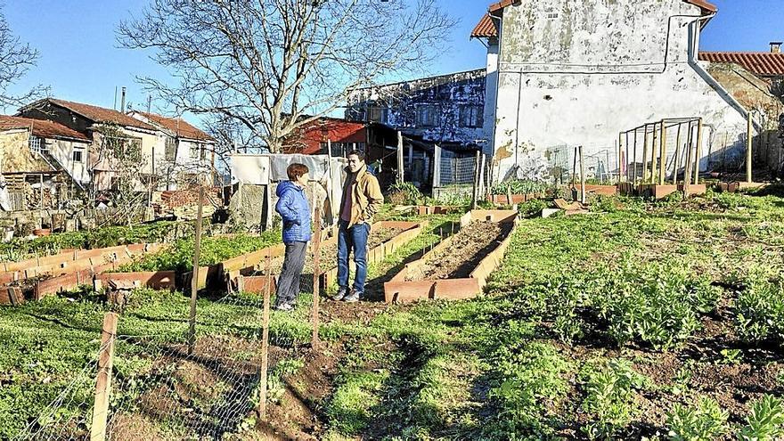 El huerto de Martin Etxea es un ejemplo de autogestión donde cada refugiado se ocupa de su parcela al igual que la atención del precario gallinero existente en la finca después de que el viento derribara el anterior. | FOTO: E. ZUNZUN