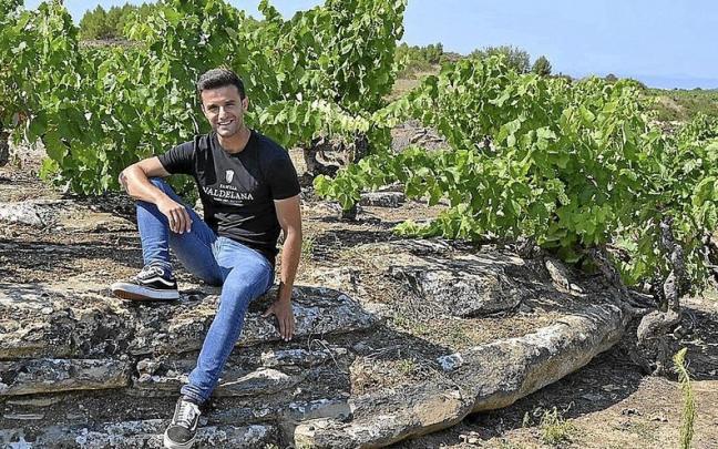 Valdelana, de Elciego, tiene el mayor numero de Viñedos Singulares. Valdelana, de Elciego, tiene el mayor numero de Viñedos Singulares.