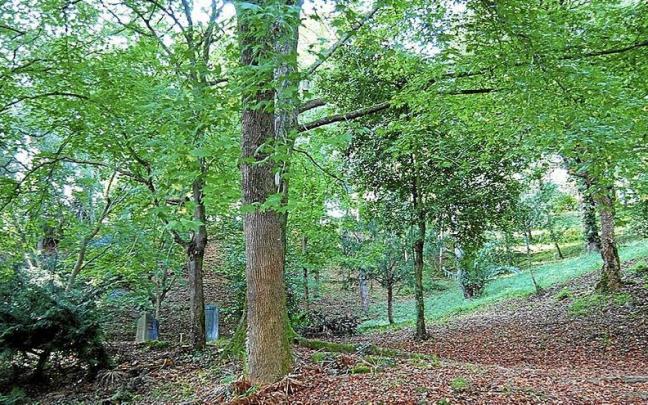 Vista del parque de Vista Alegre de Zarautz.