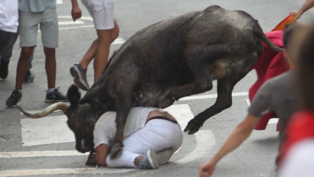 Un mozo es revolcado por una vaca durante la suelta de las fiestas de Burlada previas a la pandemia