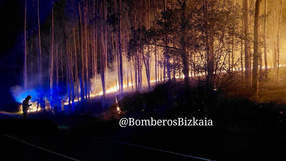 Imágenes incendio en zona forestal extinguido esta pasada noche en Las Campizas