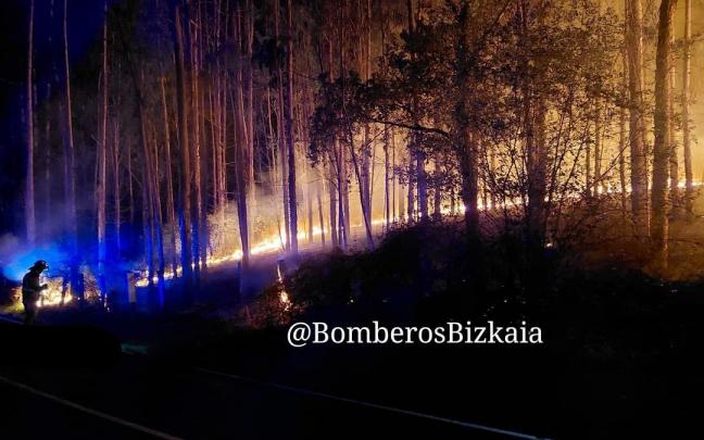 Im&aacute;genes incendio en zona forestal extinguido esta pasada noche en Las Campizas