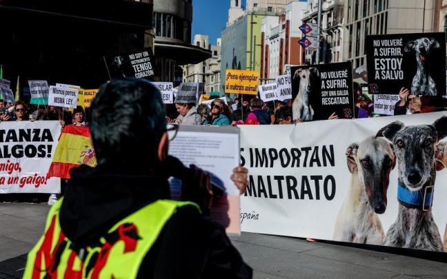 Manifestación contra la caza en Madrid.