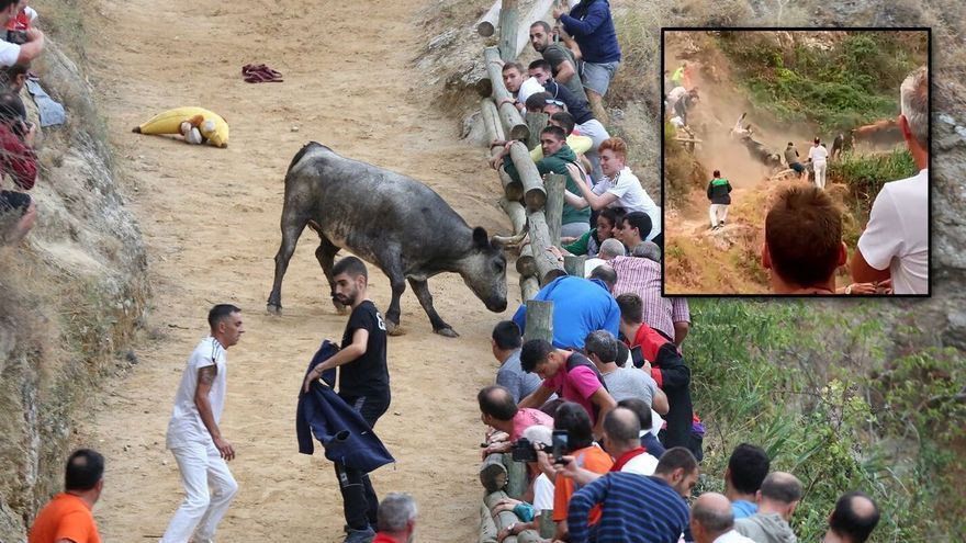 Espantados con la cogida de una vaca a un corredor en el encierro del Pilón
