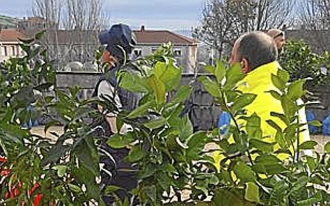 Reparto de árboles. | FOTO: E. Z.