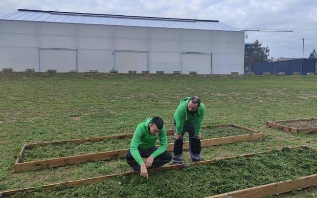 Laborantza-eremua, atzean Derio zentroa duela.