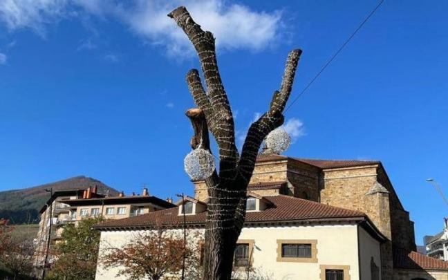 El olmo de la trinchera.