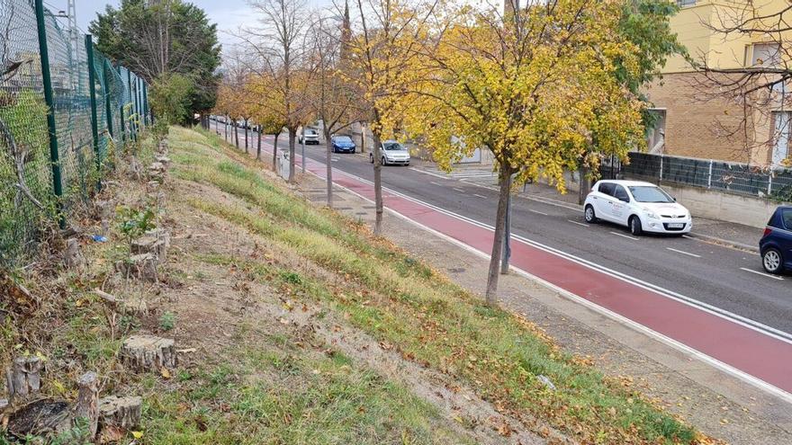 La calle Paseo de Los Tilos de Tudela, con algunos árboles cortados junto a las vías