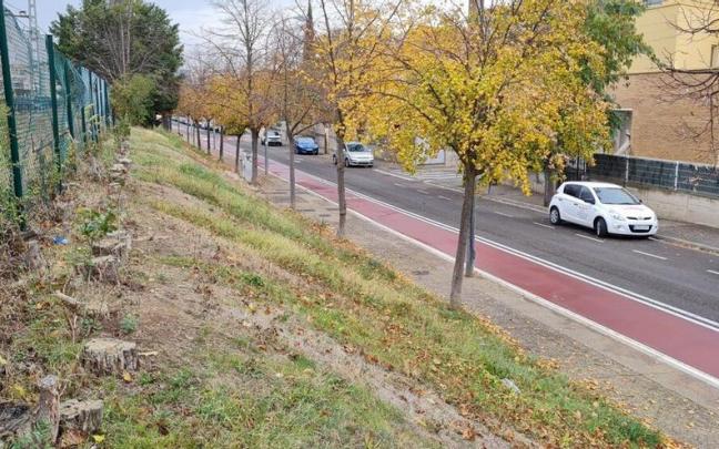 La calle Paseo de Los Tilos de Tudela, con algunos árboles cortados junto a las vías La calle Paseo de Los Tilos de Tudela, con algunos árboles cortados junto a las vías