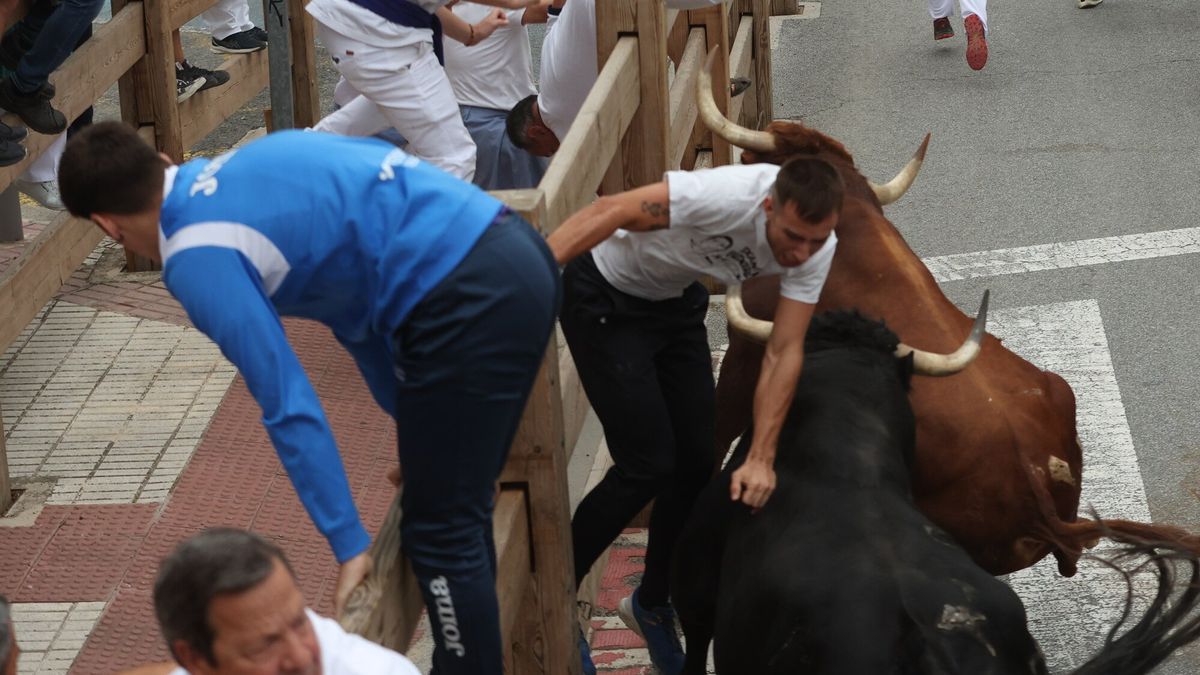 Los astados de Manuel Blázquez atropellan contra el vallado a uno de los corredores