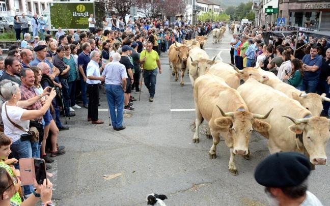 Centenares de personas acudieron a ver la entrada del ganado en Merkatuko Plaza. Centenares de personas acudieron a ver la entrada del ganado en Merkatuko Plaza.