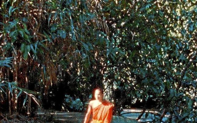 Fotograma de ‘Samsara’. | FOTO: N.G.