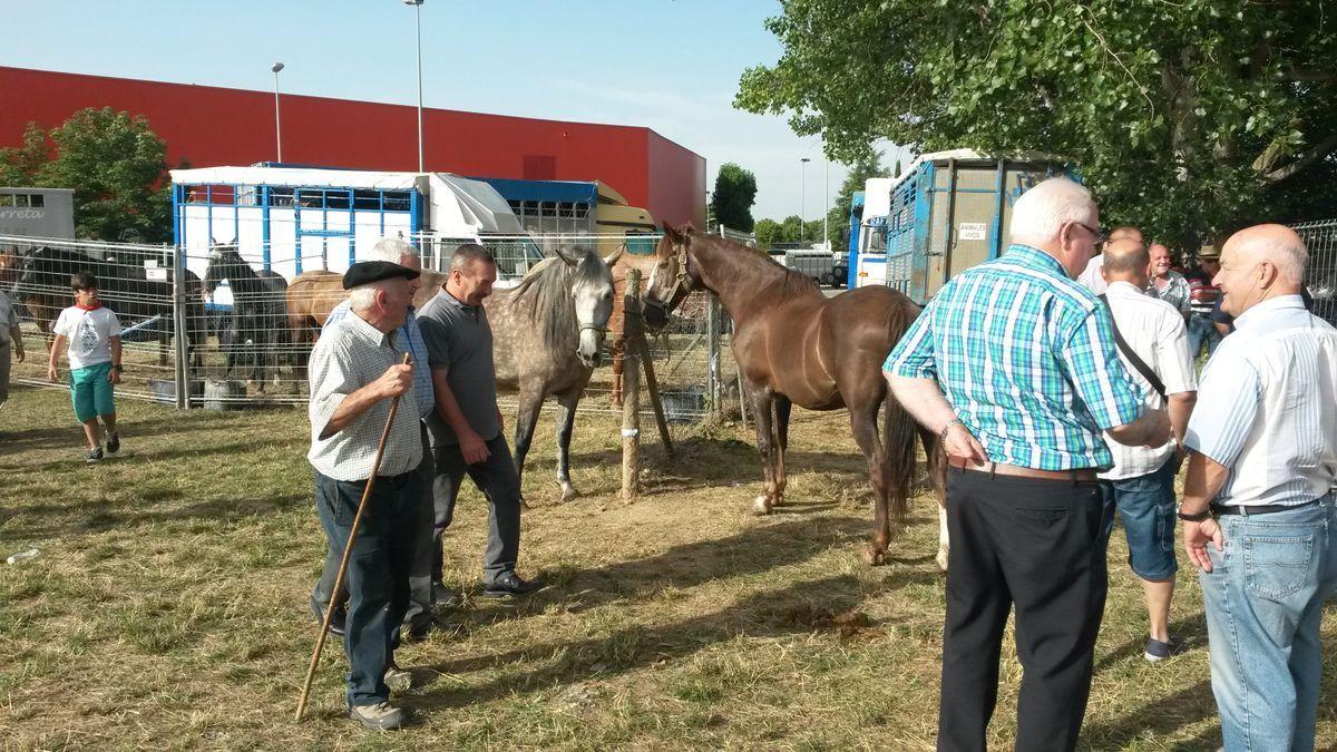 Feria de ganado de San Miguel.