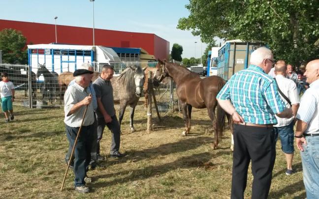 Feria de ganado de San Miguel.