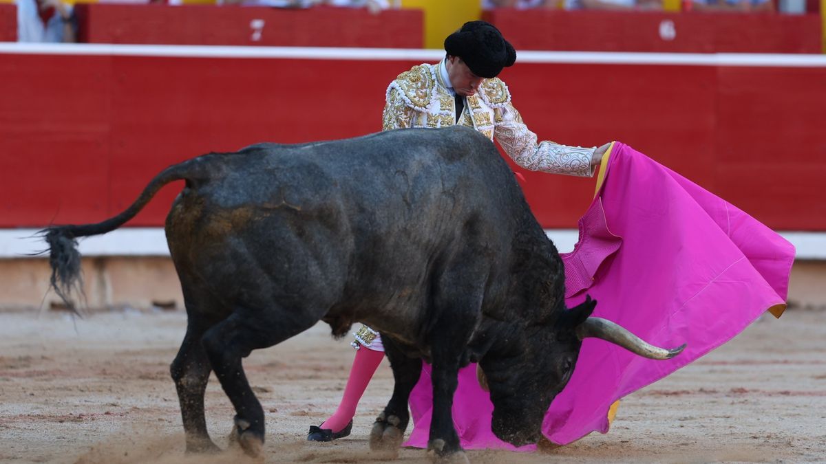 Imagen de la corrida del 9 de julio