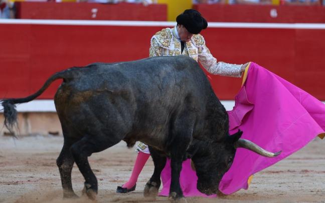 Imagen de la corrida del 9 de julio Imagen de la corrida del 9 de julio