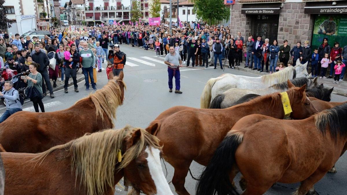 Erdizko bazkalekuan alhatzen diren hainbat zaldi, behi eta ardi agertu zituzten manifestazioan.
